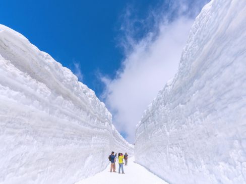 Tour Nhật Bản: Tateyama Kurobe Alpine Mùa Hè 