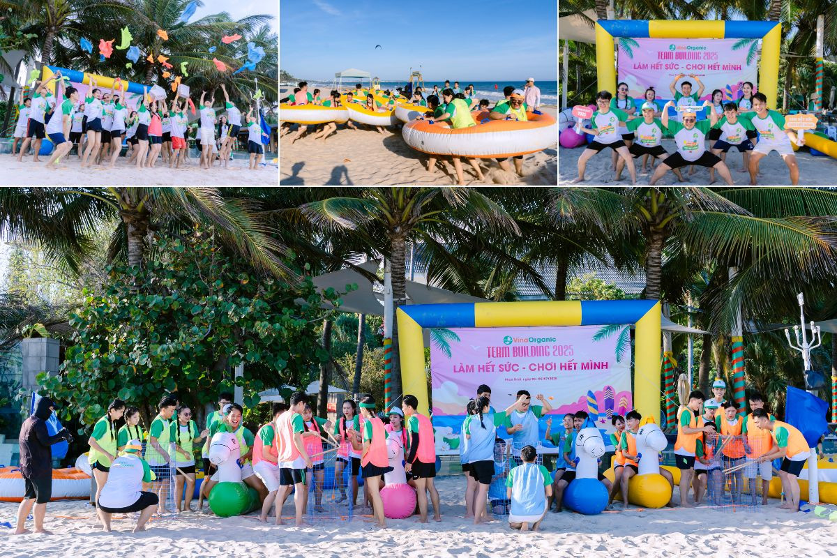 Công ty VinaOrganic tham quan + tổ chức Team building và Gala dinner tại Phan Thiết - Ảnh 11