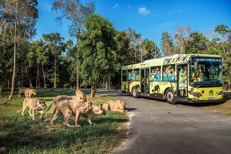 Động vật hoang dã tại công viên Safari Động vật hoang dã tại công viên Safari