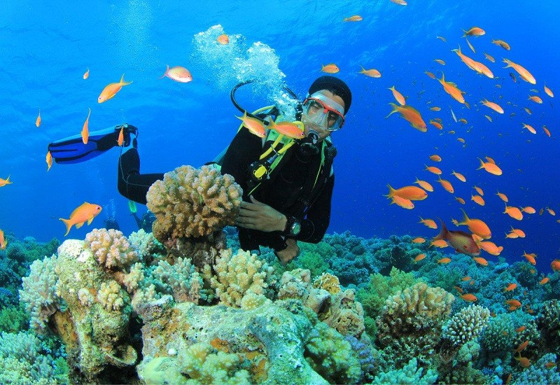 Lặn biển, vui chơi tại Bãi Bình Châu (nguồn: datviettour.com.vn)
