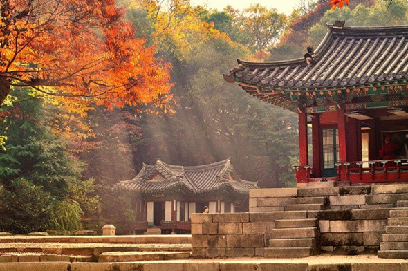 Những điểm ngắm mùa thu lý tưởng tại Hàn Quốc - ảnh 4
