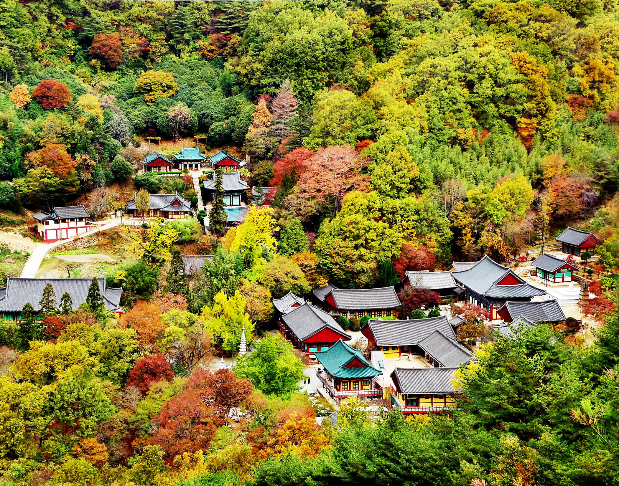Tìm đến Hadong - chốn “tiên cảnh” tại Hàn Quốc - ảnh 1