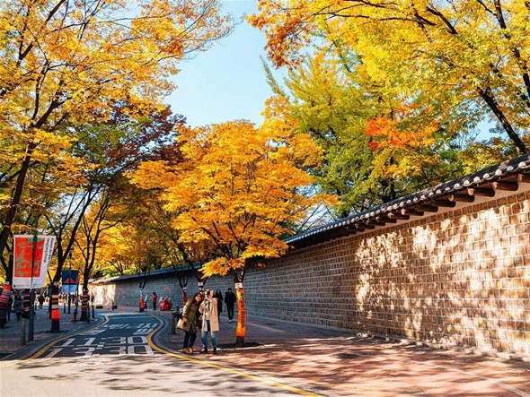 Du lịch Hàn Quốc mùa thu tiết trời dễ chịu, dịu dàng vô cùng