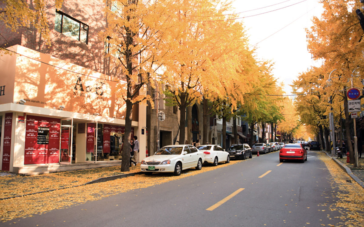 6 khu phố ẩm thực đêm không thể bỏ qua tại Seoul - Ảnh 7