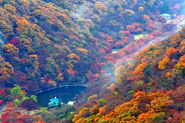 Những điểm ngắm mùa thu lý tưởng tại Hàn Quốc - ảnh 3