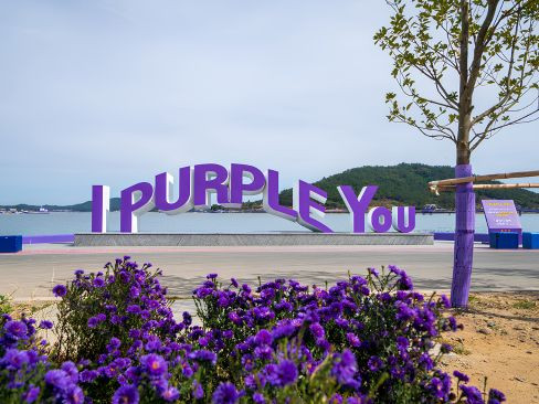 Khám Phá Hàn Quốc Mới Lạ: Hà Nội | Sinan | Jeonju | Busan | Suncheon | Yeosu