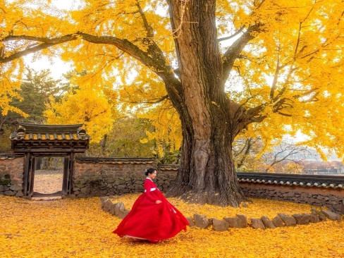 Tour Hàn Quốc: Hà Nội | Seoul | Đảo Nami | Công Viên Everland | Công Viên Yeouido | Rừng Seoul