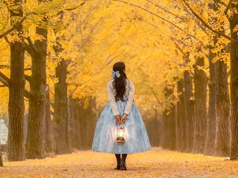 Tour Hàn Quốc 5 ngày 4 đêm: Seoul | Nami | Everland