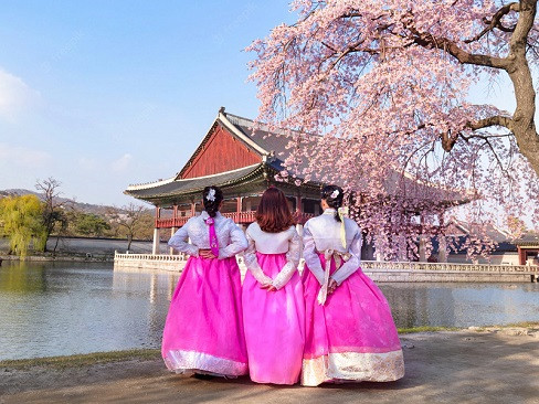 Hàn Quốc Mùa Hoa Anh Đào: Seoul | Nami | Everland 