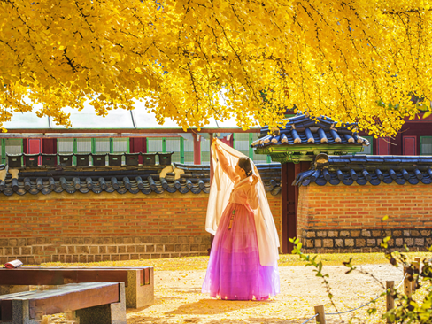 Tour Hàn Quốc 5 ngày 4 đêm: Seoul | Nami | Everland