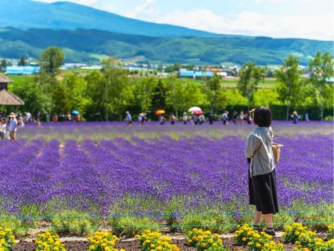 Tour Nhật Bản 6N5Đ: Mùa hè trải nghiệm Hokkaido