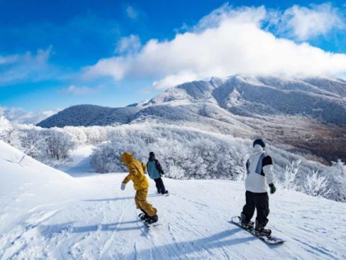 Tour Hokkaido Mùa Đông: Asahikawa | Sapporo | Noboribetsu | Chitose  