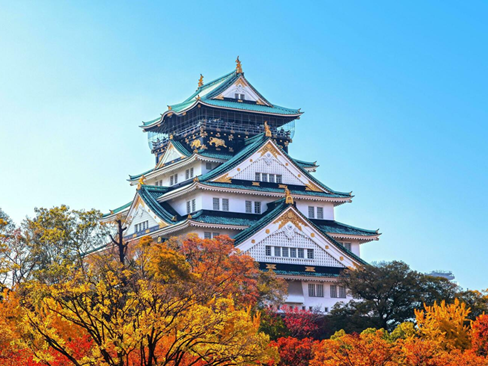 Tour Nhật Bản lễ 2/9: Kobe | Kyoto | Osaka | Izumisano 5N4Đ