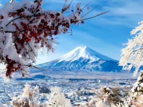 Tour Nhật Bản: Kobe | Osaka | Kyoto | Yamanashi | Fuji | Tokyo 