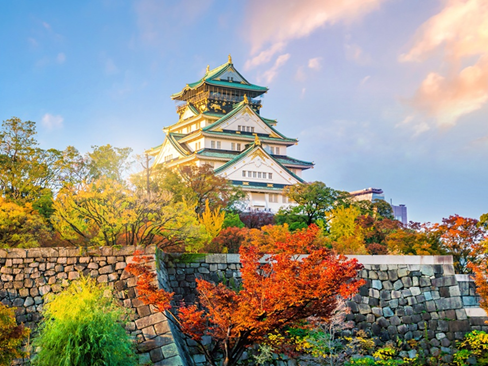 Tour Nhật Bản Mùa Thu | Tokyo | Phú Sĩ | Kyoto | Osaka 6N5Đ