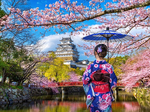 Nhật Bản Mùa Hoa Anh Đào: Tokyo | Kyoto | Osaka | Kobe 