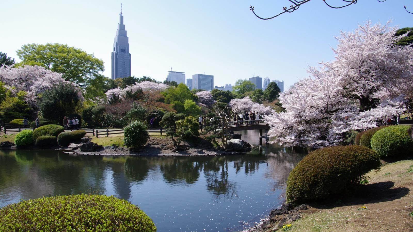Công viên Shinjuku Gyoen - một trong những công viên đa dạng nhất của Tokyo - ảnh 3