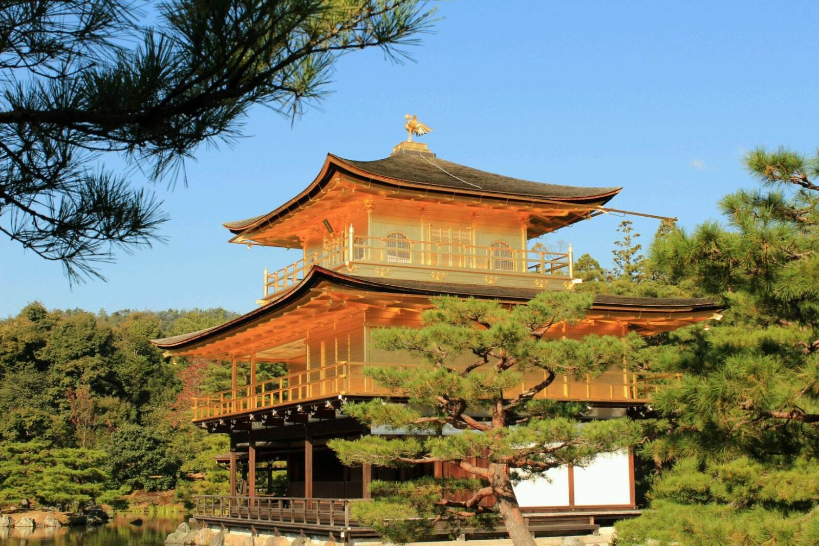 Độc đáo ngôi chùa vàng Kinkakuji qua bốn mùa ở Nhật Bản - ảnh 10