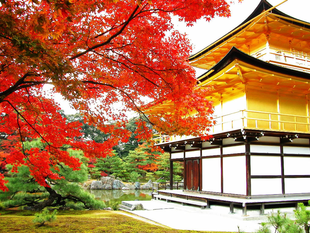 Độc đáo ngôi chùa vàng Kinkakuji qua bốn mùa ở Nhật Bản - ảnh 13