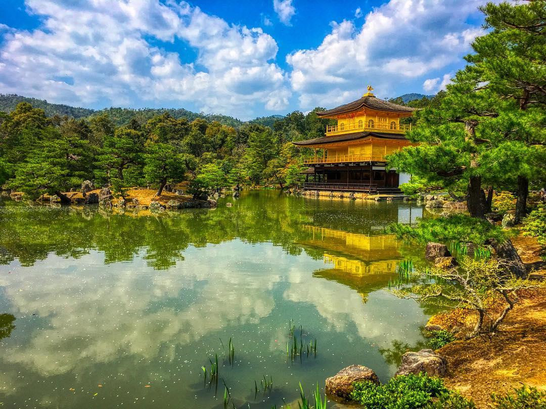 Độc đáo ngôi chùa vàng Kinkakuji qua bốn mùa ở Nhật Bản - ảnh 9
