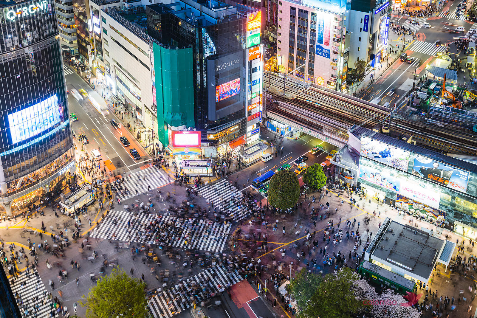 Trải nghiệm nhịp sống hối hả tại giao lộ Shibuya Nhật Bản - ảnh 4