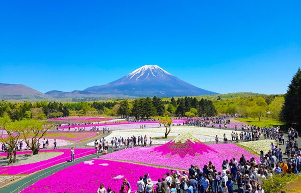 Khám phá núi Phú Sĩ – biểu tượng Nhật Bản - ảnh 2
