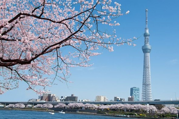 Chiêm Ngưỡng Tokyo Sky Tree Khi Du Lịch Nhật Bản