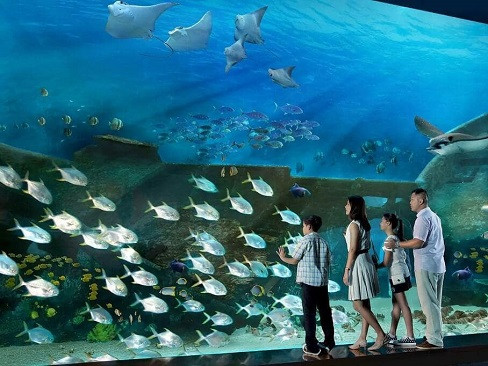 Singapore: Đảo Quốc Sư Tử | S.E.A Aquarium (3N2Đ)