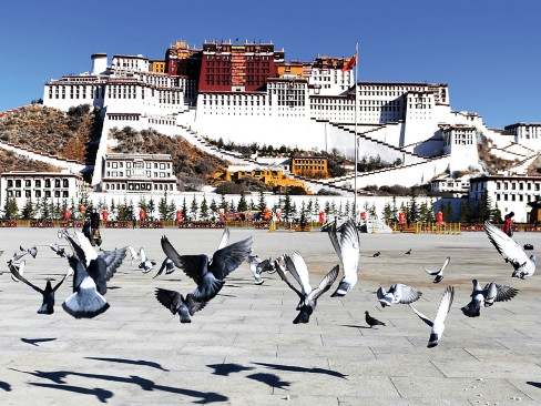 Tây Tạng: Nyingchi | Lhasa | Shigatse | Hồ Yamdrok | Cung Điện Potala