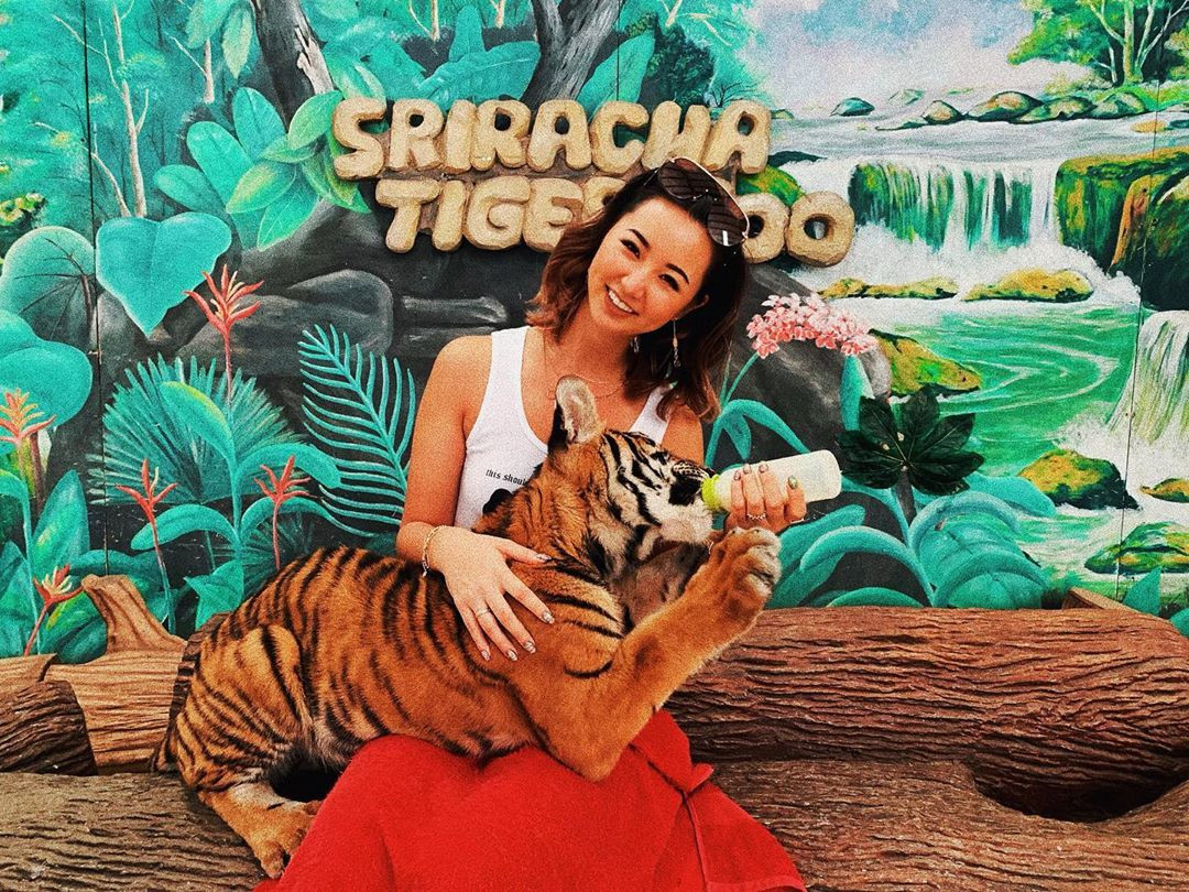 Hành trình tìm hiểu và khám phá công viên Sriracha Tiger Zoo - ảnh 7