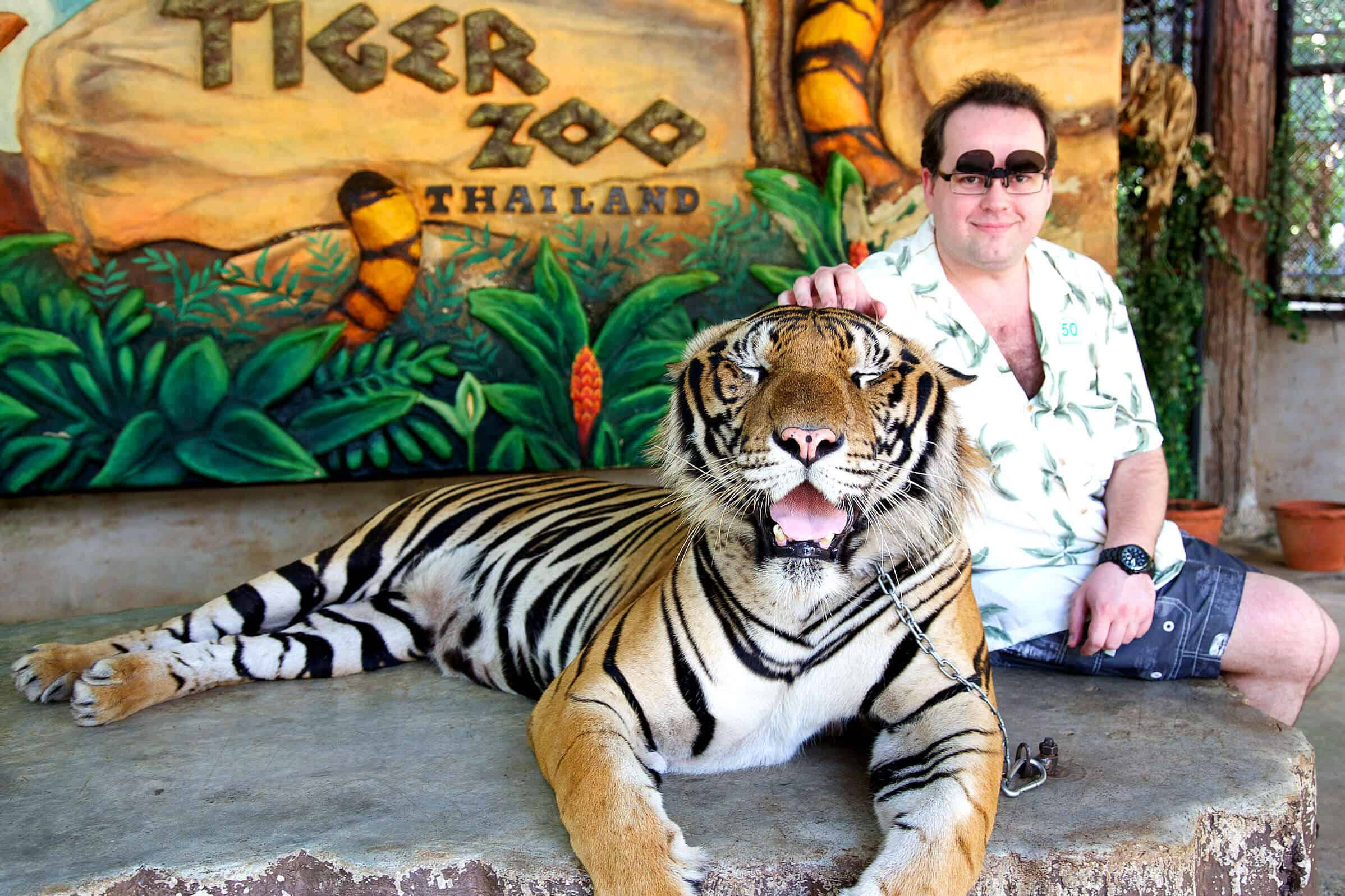 Du lịch Thái Lan – chuyến đi khám phá công viên Sriracha Tiger Zoo - ảnh 2