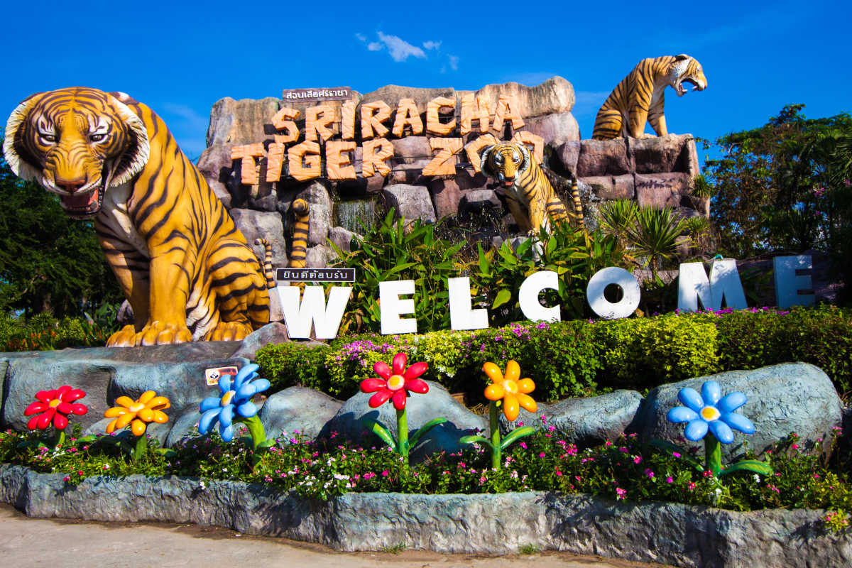 Hành trình tìm hiểu và khám phá công viên Sriracha Tiger Zoo - ảnh 3