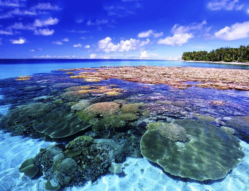 Đảo san hô tại Thái Lan