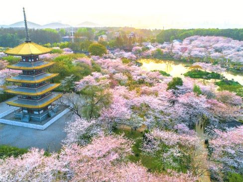 Tour Vũ Hán | Nghi Xương | Đập Tam Hiệp | No Shopping 5N5Đ