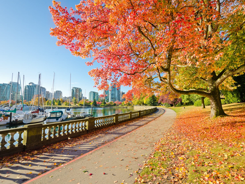 Tour Bờ Tây Canada: Vancouver | Đảo Victoria | Núi Tuyết Whistler | White Rock Pier