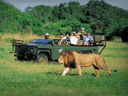 Tour Nam Phi: Johannesburg | Game Lodge | Cape Town
