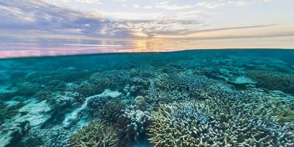 Mê mẩn trước những hòn đảo siêu đẹp ở Úc - ảnh 1