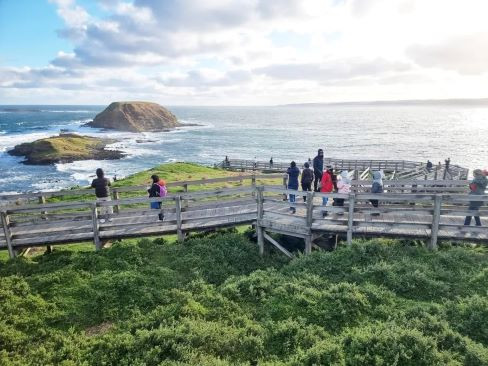 Tour Úc 7N6Đ: Melbourne | Phillip Island | Brisbane | Gold Coast