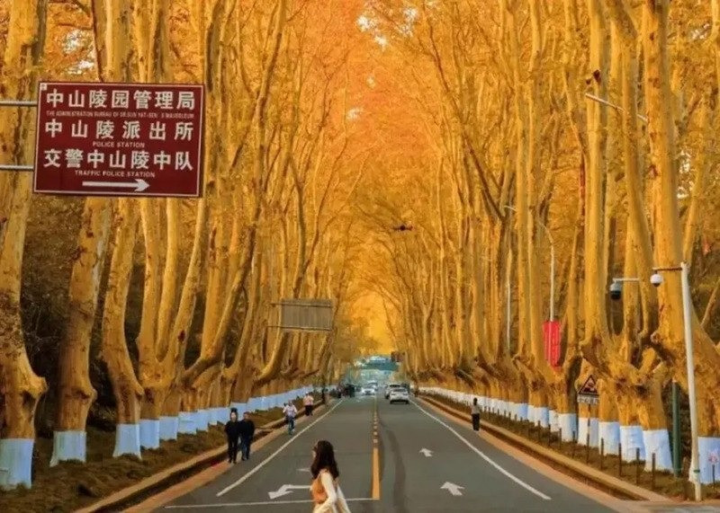 Tour du lịch Nam Kinh (Ảnh sưu tầm)