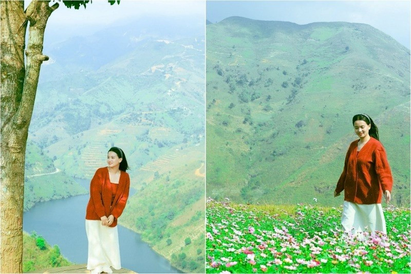Ngắm hoa sao nhái bên Cây cô đơn giữa những lớp núi xa mờ Ngắm hoa sao nhái bên Cây cô đơn giữa những lớp núi xa mờ