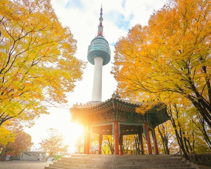 Tour Hàn Quốc: Hà Nội | Seoul | Nami | Everland | Hái Táo Lê Mùa Thu 