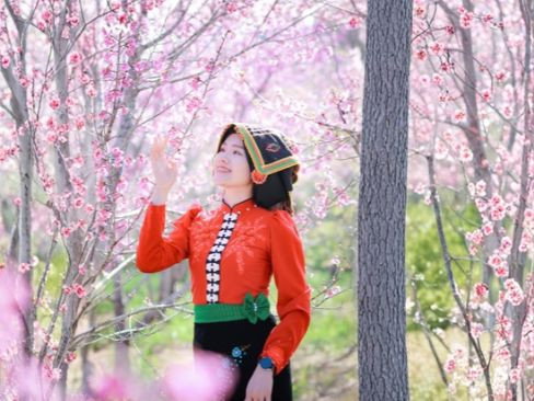 Tour Tết 2027: TP. HCM | Sapa | Điện Biên | Mộc Châu | Hòa Bình