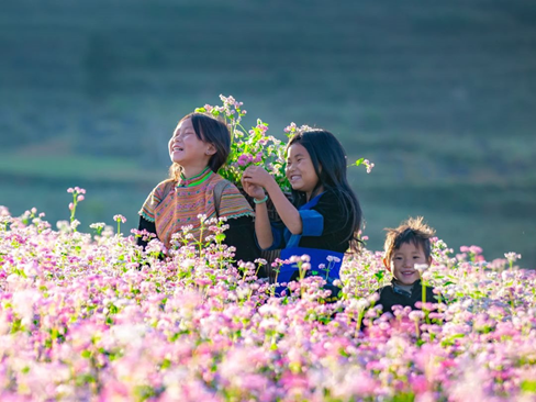 Tour Hà Giang | Lũng Cú | Đồng Văn | Sapa | Fansipan