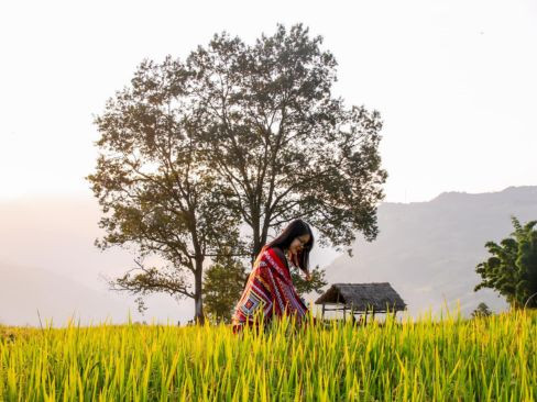 Tour Hà Nội - Lào Cai: Y Tý | Bắc Hà (3N2Đ)