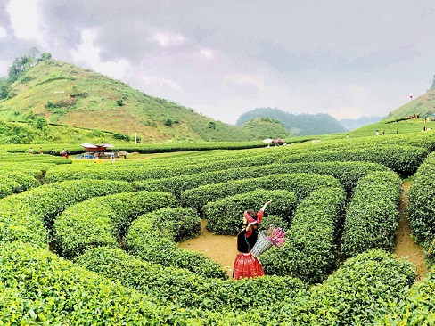 Tour Tây Bắc 5N4Đ | Sapa | Điện Biên | Mộc Châu | Hòa Bình
