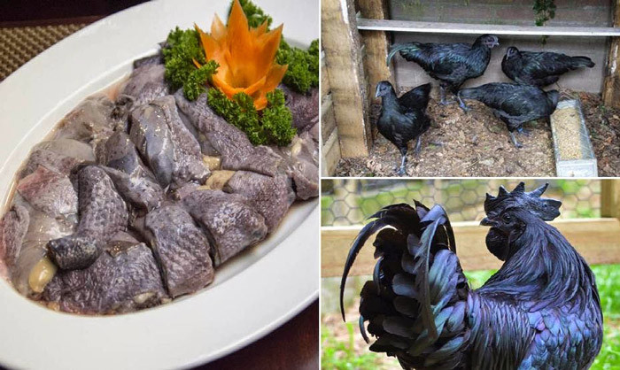 những món ăn đặc sản Sapa ngon “quên lối về” - thịt gà đen