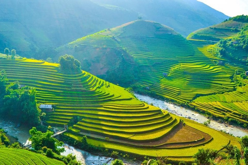 Hình nền thiên nhiên Việt Nam tuyệt đẹp  Ruộng bậc thang Mù Cang Chải   VFOVN