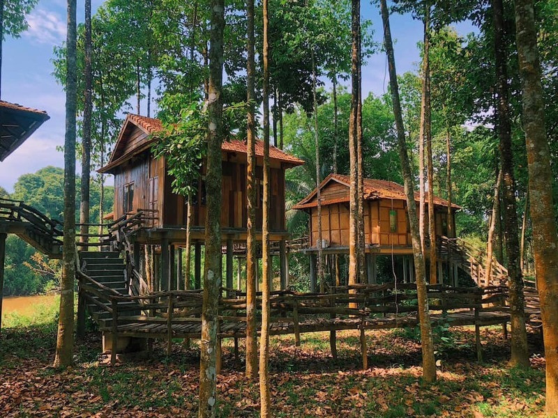 Green Bamboo Lodge Resort Nam Cát Tiên