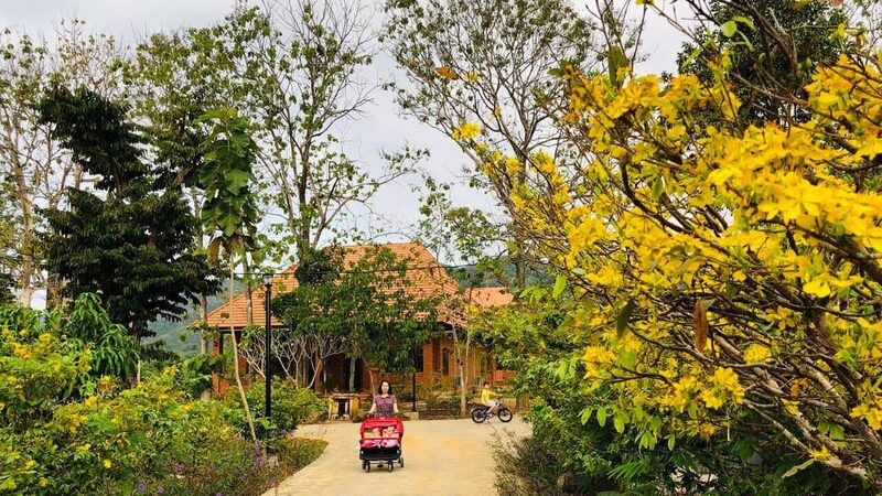 Khung cảnh thiên nhiên Orchard Home Resort Nam Cát Tiên