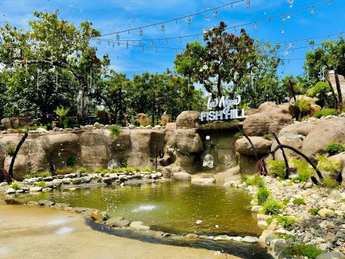 Tour La Ngà Fish Hill | Thiền Viện Trúc Lâm Chân Pháp